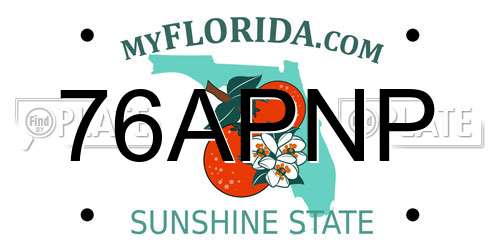 76APNP Florida License Plate