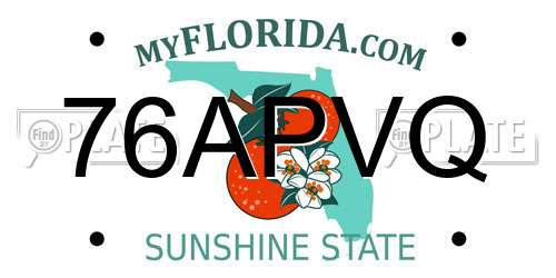 76APVQ Florida License Plate
