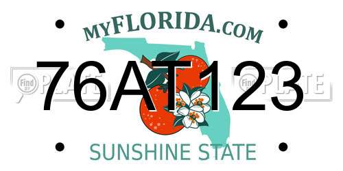 76AT123 Florida License Plate