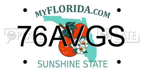 76AVGS Florida License Plate