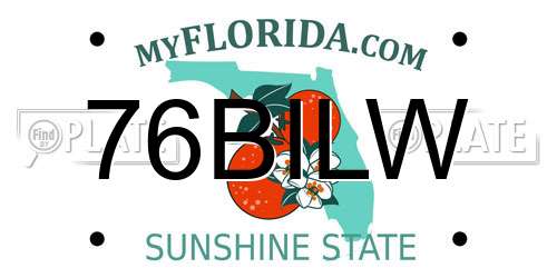 76BILW Florida License Plate