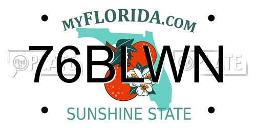 76BLWN Florida License Plate