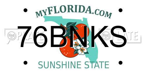 76BNKS Florida License Plate