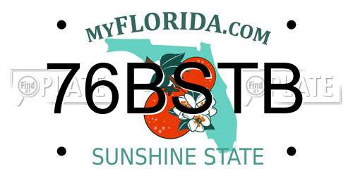 76BSTB Florida License Plate