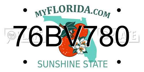 76BV780 Florida License Plate