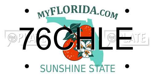 76CHLE Florida License Plate