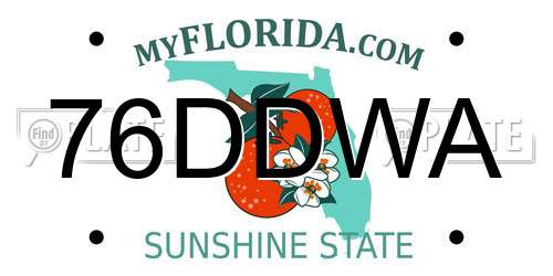 76DDWA Florida License Plate