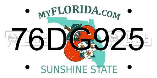 76DG925 Florida License Plate