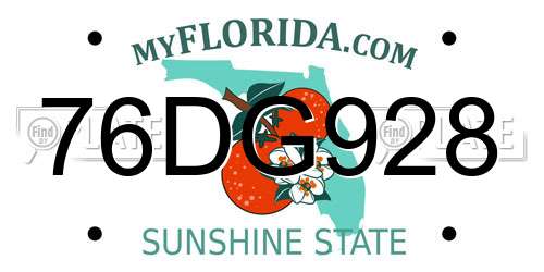 76DG928 Florida License Plate