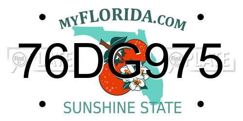 76DG975 Florida License Plate
