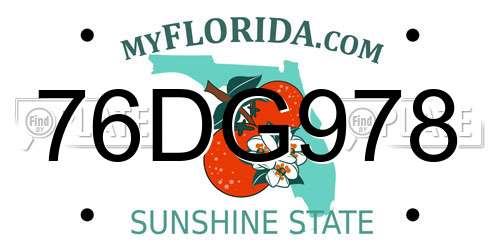 76DG978 Florida License Plate