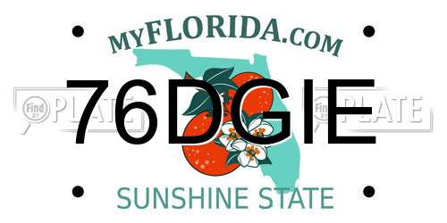 76DGIE Florida License Plate