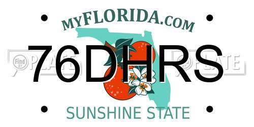 76DHRS Florida License Plate