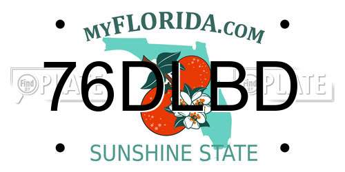 76DLBD Florida License Plate