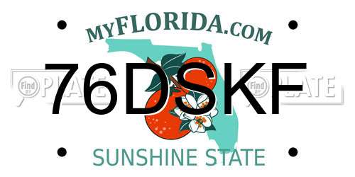 76DSKF Florida License Plate