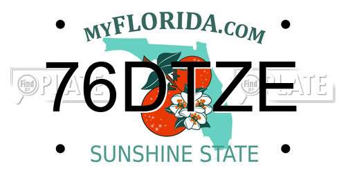 76DTZE Florida License Plate