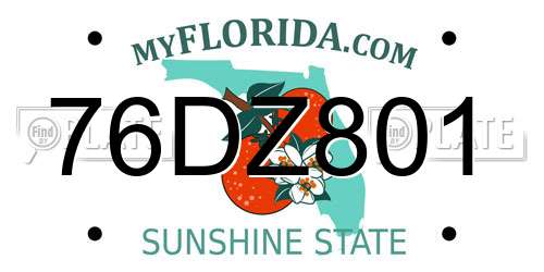 76DZ801 Florida License Plate