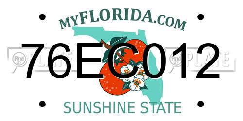 76EC012 Florida License Plate