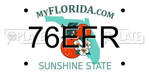 76EFR Florida License Plate