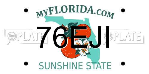 76EJI Florida License Plate