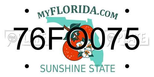 76FO075 Florida License Plate