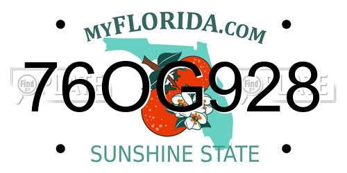 76OG928 Florida License Plate