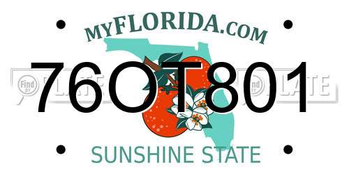 76OT801 Florida License Plate