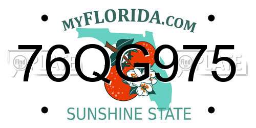 76QG975 Florida License Plate