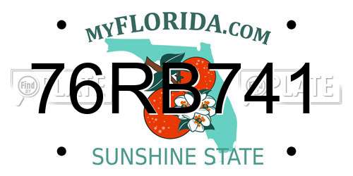 76RB741 Florida License Plate
