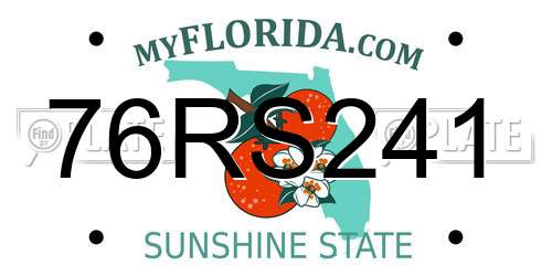 76RS241 Florida License Plate