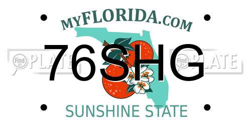 76SHG Florida License Plate