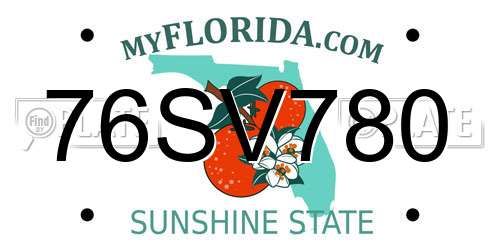 76SV780 Florida License Plate