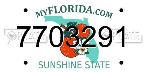 7703291 Florida License Plate