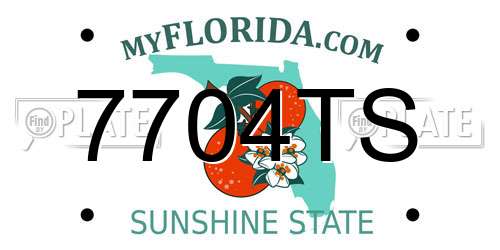 7704TS Florida License Plate