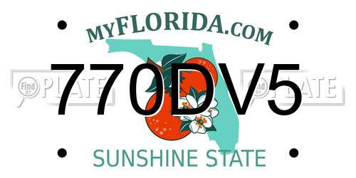 770DV5 Florida License Plate