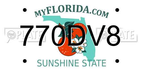 770DV8 Florida License Plate