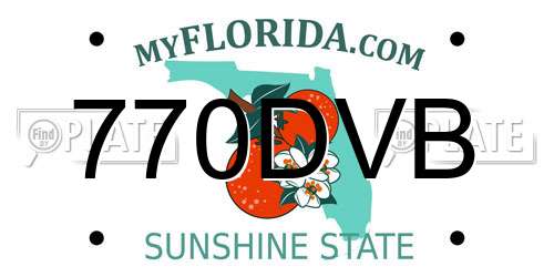 770DVB Florida License Plate