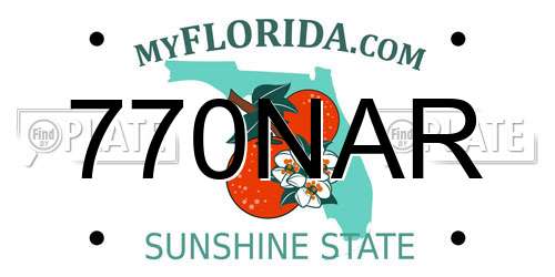 770NAR Florida License Plate