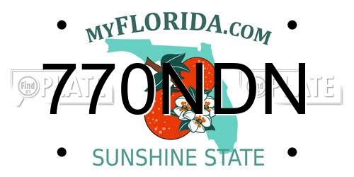 770NDN Florida License Plate