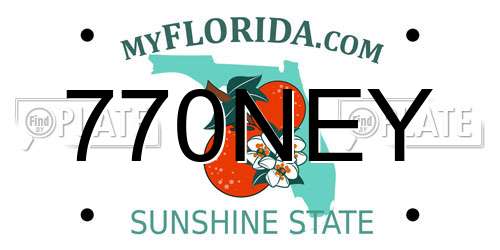 770NEY Florida License Plate
