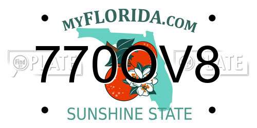 770OV8 Florida License Plate