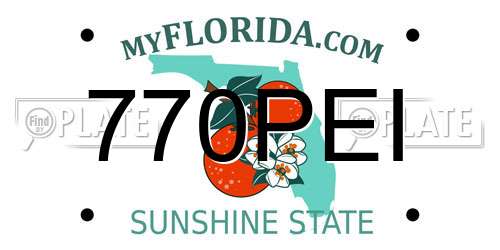 770PEI Florida License Plate