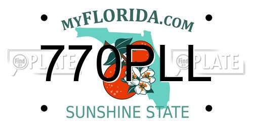 770PLL Florida License Plate