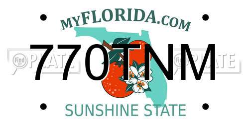 770TNM Florida License Plate