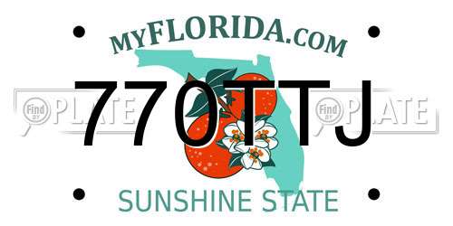 770TTJ Florida License Plate
