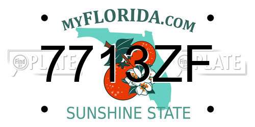 7713ZF Florida License Plate