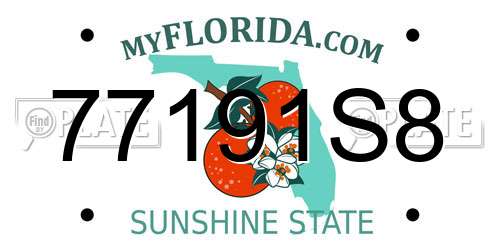 77191S8 Florida License Plate