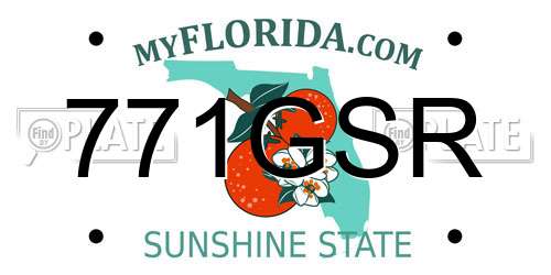 771GSR Florida License Plate