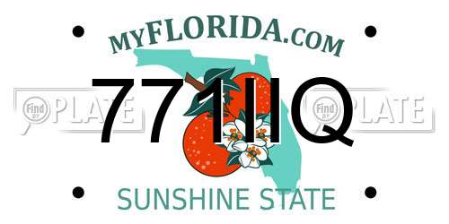 771IIQ Florida License Plate