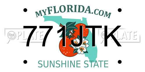 771JTK Florida License Plate